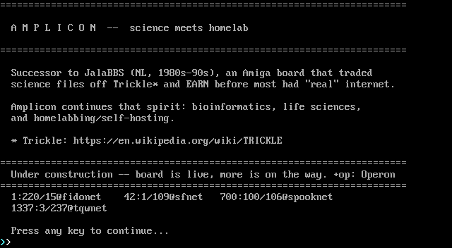 Amplicon BBS: its own screen, 22 rows
