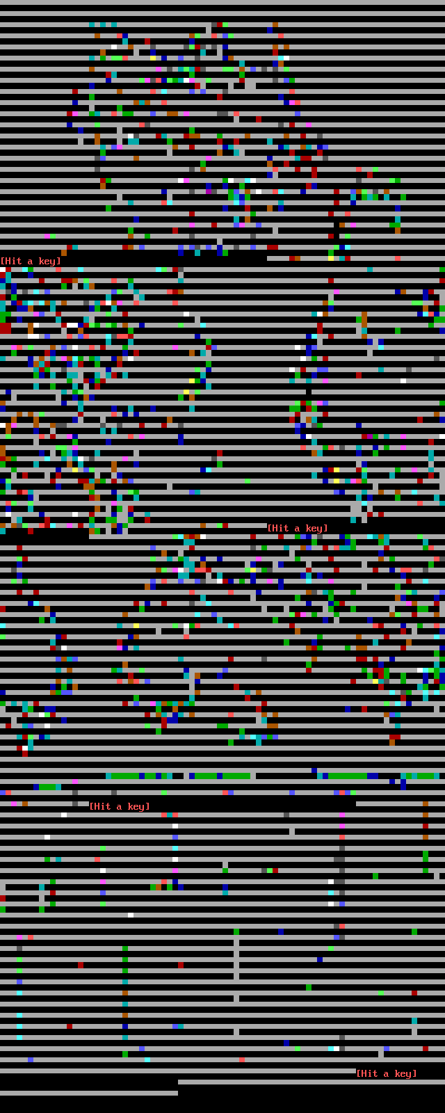 Hook and Rail BBS: its own screen, 100 rows