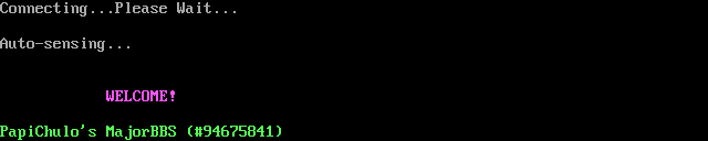 PapiChulo’s MajorBBS: its own screen, 8 rows